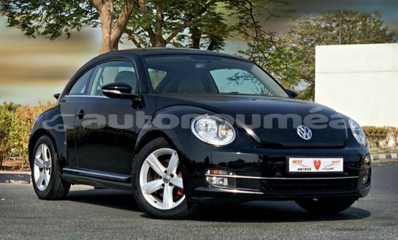 Acheter Import Voiture Volkswagen Beetle Noir à Import - Dubai, Iles