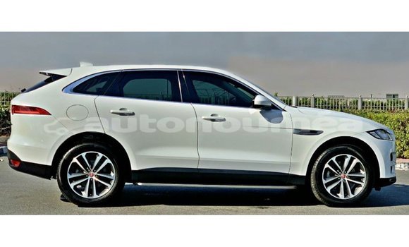 Buy Import Jaguar F-Pace White Car in Import - Dubai in Iles Buy Import Jaguar F-Pace White Car in Import - Dubai in Iles