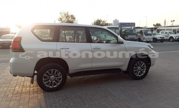 Buy Import Toyota Prado White Car in Import - Dubai in Iles Buy Import Toyota Prado White Car in Import - Dubai in Iles
