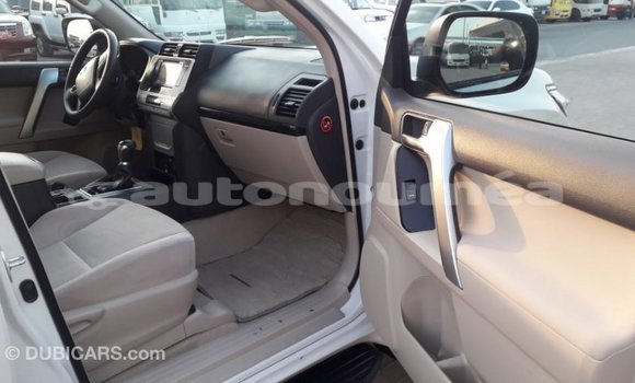 Buy Import Toyota Prado White Car in Import - Dubai in Iles Buy Import Toyota Prado White Car in Import - Dubai in Iles