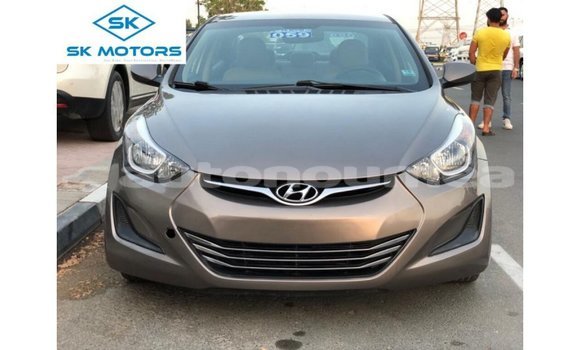 Acheter Import Voiture Hyundai Elantra Marron à Import - Dubai, Iles