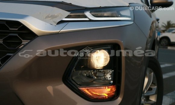 Acheter Import Voiture Hyundai Santa Fe Marron à Import - Dubai, Iles Acheter Import Voiture Hyundai Santa Fe Marron à Import - Dubai, Iles