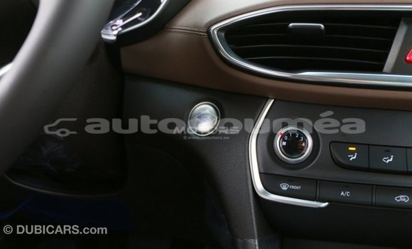 Acheter Import Voiture Hyundai Santa Fe Marron à Import - Dubai, Iles Acheter Import Voiture Hyundai Santa Fe Marron à Import - Dubai, Iles