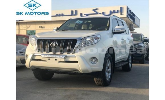 Buy Import Toyota Prado White Car in Import - Dubai in Iles