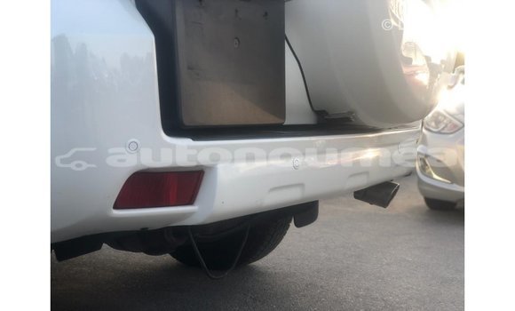 Acheter Import Voiture Toyota Prado Blanc à Import - Dubai, Iles Acheter Import Voiture Toyota Prado Blanc à Import - Dubai, Iles