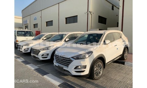 Acheter Import Voiture Hyundai Tucson Blanc à Import - Dubai, Iles Acheter Import Voiture Hyundai Tucson Blanc à Import - Dubai, Iles