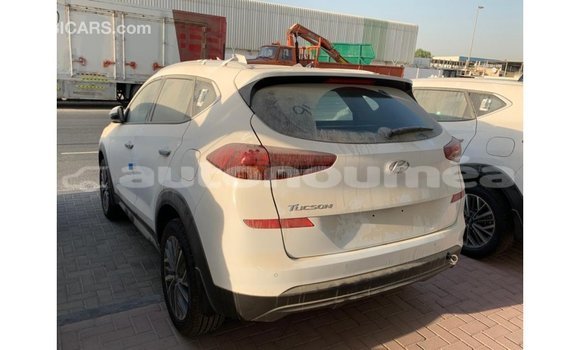 Acheter Import Voiture Hyundai Tucson Blanc à Import - Dubai, Iles Acheter Import Voiture Hyundai Tucson Blanc à Import - Dubai, Iles
