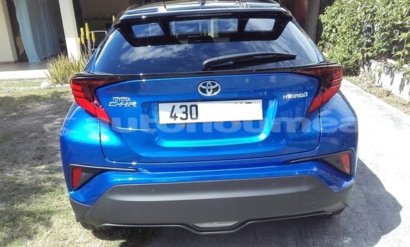 Acheter Neuf Voiture Toyota C-HR Bleu à Dumbea, Sud