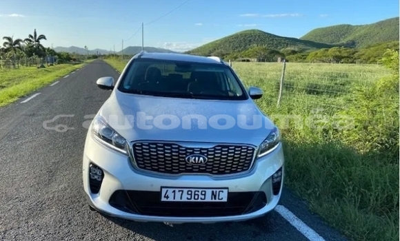 Acheter Occasion Voiture Kia Sorento Gris à Koumac, Nord Acheter Occasion Voiture Kia Sorento Gris à Koumac, Nord