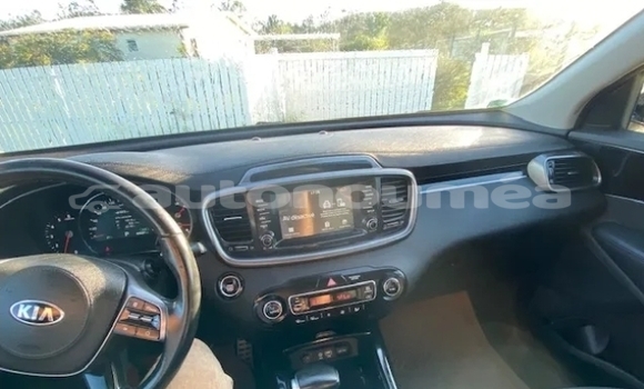 Acheter Occasion Voiture Kia Sorento Gris à Koumac, Nord Acheter Occasion Voiture Kia Sorento Gris à Koumac, Nord