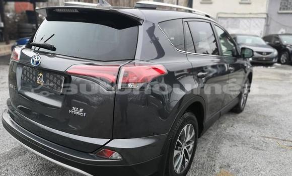 Buy Used Toyota RAV4 Other Car in Bouloupari in Sud Buy Used Toyota RAV4 Other Car in Bouloupari in Sud