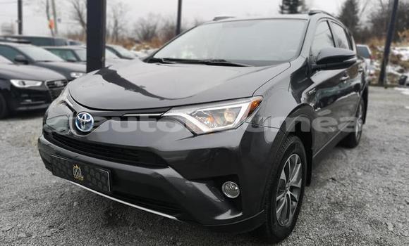 Buy Used Toyota RAV4 Other Car in Bouloupari in Sud Buy Used Toyota RAV4 Other Car in Bouloupari in Sud