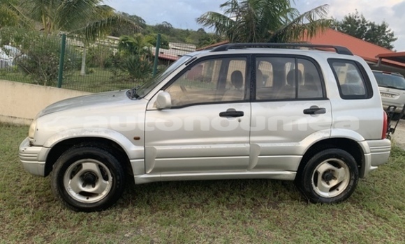 Acheter Occasion Voiture Suzuki Vitara Gris à Koumac, Nord Acheter Occasion Voiture Suzuki Vitara Gris à Koumac, Nord