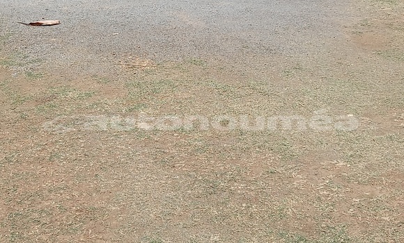 Acheter Occasion Voiture Nissan NP 300 Gris à Paita, Sud Acheter Occasion Voiture Nissan NP 300 Gris à Paita, Sud