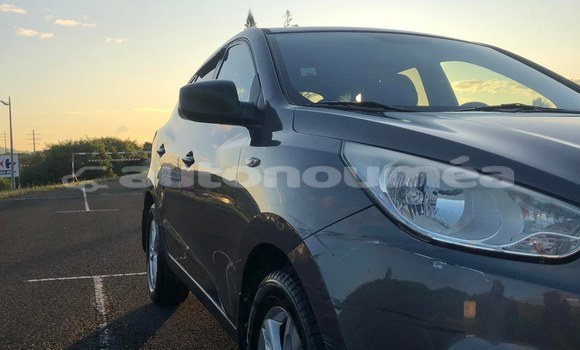 Acheter Occasion Voiture Hyundai ix35 Gris à Noumea, Sud Acheter Occasion Voiture Hyundai ix35 Gris à Noumea, Sud