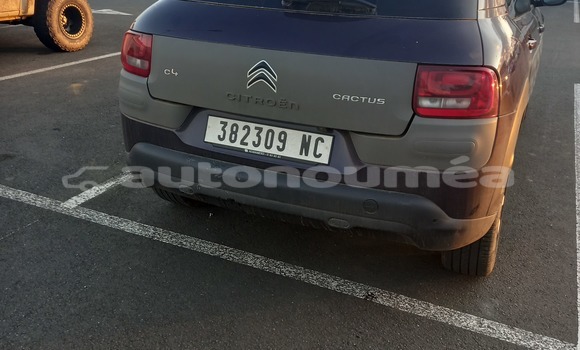 Acheter Occasion Voiture Citroen C4 Cactus Autre à Kone, Nord Acheter Occasion Voiture Citroen C4 Cactus Autre à Kone, Nord