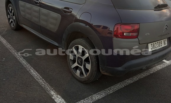 Acheter Occasion Voiture Citroen C4 Cactus Autre à Kone, Nord Acheter Occasion Voiture Citroen C4 Cactus Autre à Kone, Nord