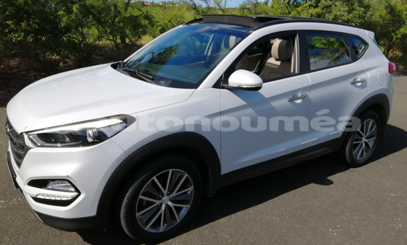 Buy Used Hyundai Tucson White Car in Noumea in Sud Buy Used Hyundai Tucson White Car in Noumea in Sud