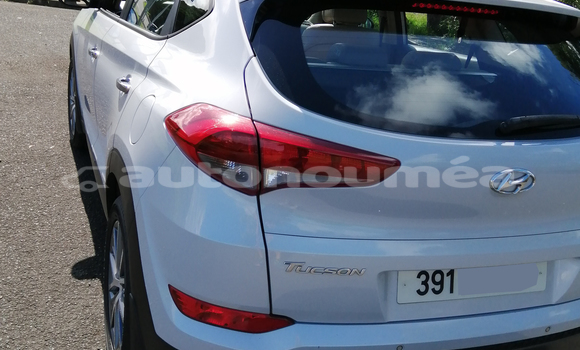 Acheter Occasion Voiture Hyundai Tucson Blanc à Noumea, Sud Acheter Occasion Voiture Hyundai Tucson Blanc à Noumea, Sud