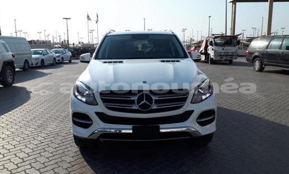 Buy Used Mercedes-Benz GLE White Car in Fayaoue in Iles Buy Used Mercedes-Benz GLE White Car in Fayaoue in Iles