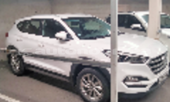 Acheter Occasion Voiture Hyundai Tucson Blanc à Noumea, Sud Acheter Occasion Voiture Hyundai Tucson Blanc à Noumea, Sud