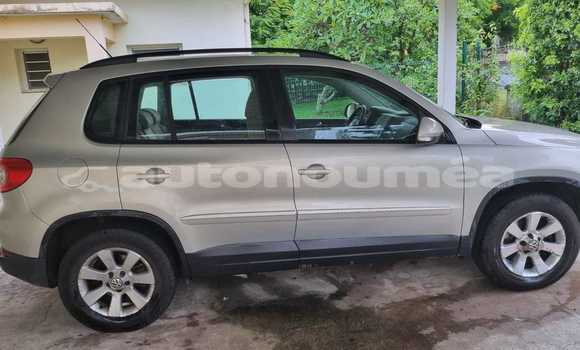 Acheter Occasion Voiture Volkswagen Tiguan Gris à Noumea, Sud Acheter Occasion Voiture Volkswagen Tiguan Gris à Noumea, Sud