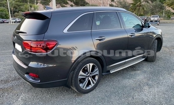 Acheter Occasion Voiture Kia Sorento Gris à Noumea, Sud Acheter Occasion Voiture Kia Sorento Gris à Noumea, Sud