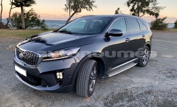 Acheter Occasion Voiture Kia Sorento Gris à Noumea, Sud Acheter Occasion Voiture Kia Sorento Gris à Noumea, Sud