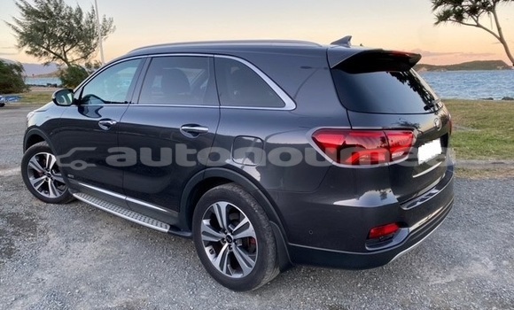 Acheter Occasion Voiture Kia Sorento Gris à Noumea, Sud Acheter Occasion Voiture Kia Sorento Gris à Noumea, Sud