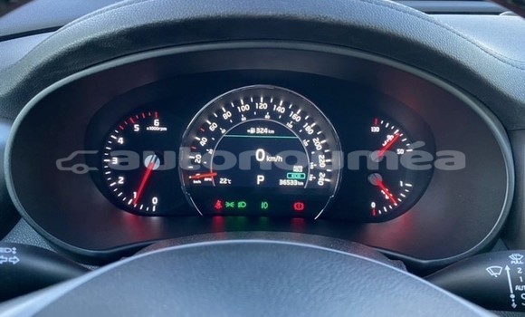 Acheter Occasion Voiture Kia Sorento Gris à Noumea, Sud Acheter Occasion Voiture Kia Sorento Gris à Noumea, Sud