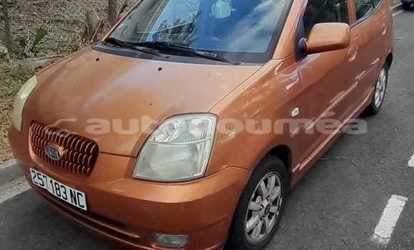 Acheter Occasion Voiture Kia Picanto Autre à Noumea, Sud Acheter Occasion Voiture Kia Picanto Autre à Noumea, Sud