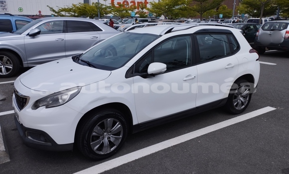 Acheter Occasion Voiture Peugeot 2008 Blanc à Poindimie, Nord Acheter Occasion Voiture Peugeot 2008 Blanc à Poindimie, Nord
