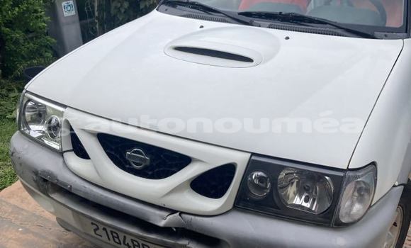 Acheter Occasion Voiture Nissan Terrano Blanc à Noumea, Sud Acheter Occasion Voiture Nissan Terrano Blanc à Noumea, Sud