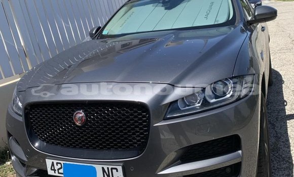 Acheter Neuf Voiture Jaguar F-Pace Gris à Noumea, Sud Acheter Neuf Voiture Jaguar F-Pace Gris à Noumea, Sud