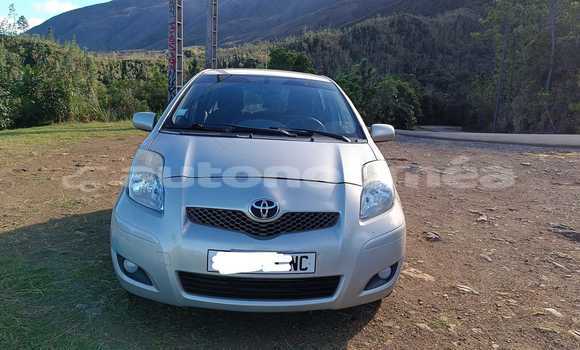 Acheter Occasion Voiture Toyota Yaris Gris à Noumea, Sud Acheter Occasion Voiture Toyota Yaris Gris à Noumea, Sud