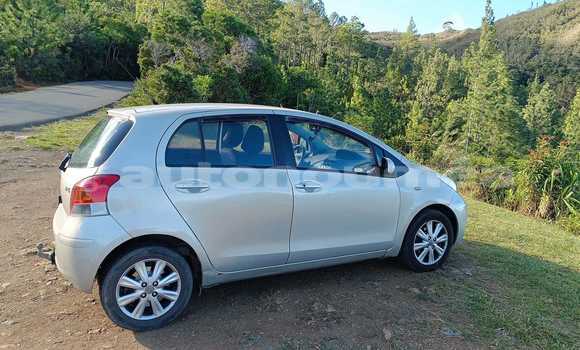 Acheter Occasion Voiture Toyota Yaris Gris à Noumea, Sud Acheter Occasion Voiture Toyota Yaris Gris à Noumea, Sud