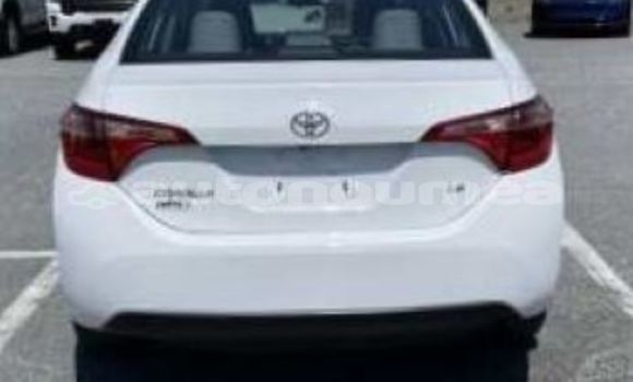 Acheter Occasion Voiture Toyota Corolla Blanc à Farino, Sud Acheter Occasion Voiture Toyota Corolla Blanc à Farino, Sud