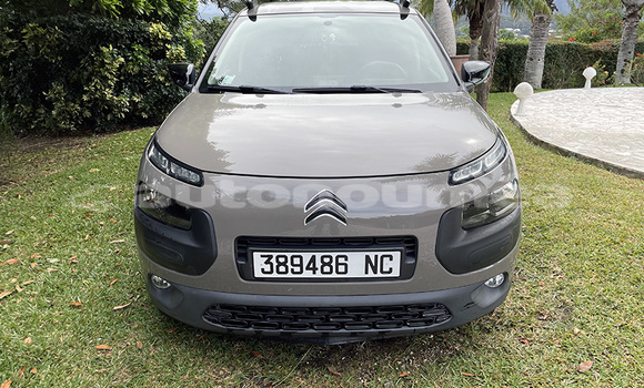 Acheter Occasion Voiture Citroen C4 Cactus Marron à Noumea, Sud Acheter Occasion Voiture Citroen C4 Cactus Marron à Noumea, Sud