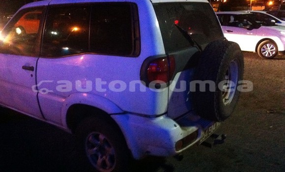 Buy Used Nissan Terrano Other Car in Ponerihouen in Nord