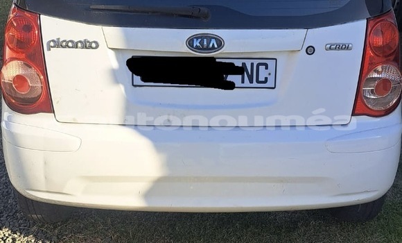 Acheter Occasion Voiture Kia Picanto Blanc à Noumea, Sud Acheter Occasion Voiture Kia Picanto Blanc à Noumea, Sud
