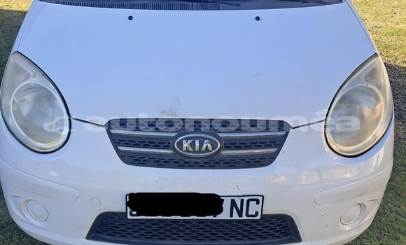 Acheter Occasion Voiture Kia Picanto Blanc à Noumea, Sud Acheter Occasion Voiture Kia Picanto Blanc à Noumea, Sud