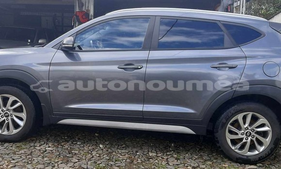 Acheter Occasion Voiture Hyundai Tucson Gris à Poindimie, Nord Acheter Occasion Voiture Hyundai Tucson Gris à Poindimie, Nord