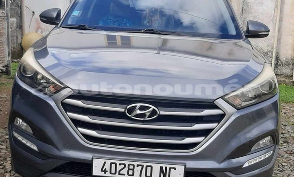 Acheter Occasion Voiture Hyundai Tucson Gris à Poindimie, Nord Acheter Occasion Voiture Hyundai Tucson Gris à Poindimie, Nord