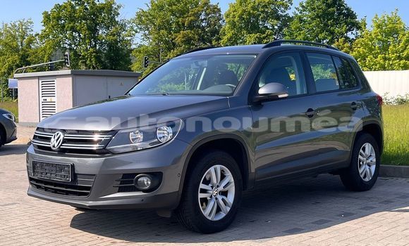 Acheter Occasion Voiture Volkswagen Tiguan Gris à Touho, Nord