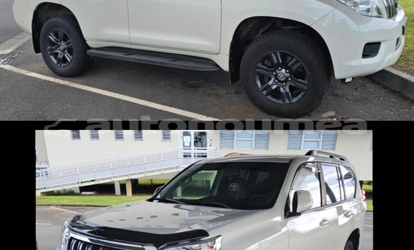 Buy Used Toyota Prado White Car in Poya in Nord