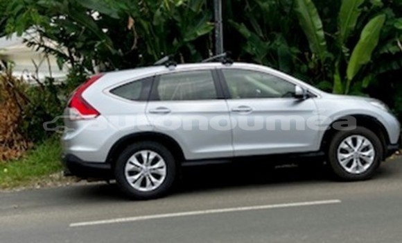 Acheter Occasion Voiture Honda CR–V Gris à Poindimie, Nord Acheter Occasion Voiture Honda CR–V Gris à Poindimie, Nord
