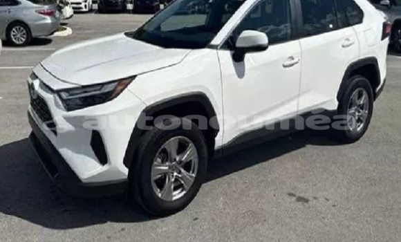 Acheter Occasion Voiture Toyota RAV4 Blanc à Canala, Nord