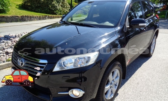 Acheter Occasion Voiture Toyota RAV4 Noir à Koumac, Nord Acheter Occasion Voiture Toyota RAV4 Noir à Koumac, Nord