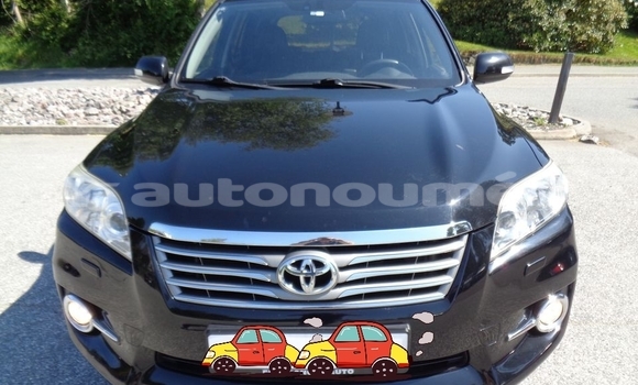 Acheter Occasion Voiture Toyota RAV4 Noir à Koumac, Nord Acheter Occasion Voiture Toyota RAV4 Noir à Koumac, Nord