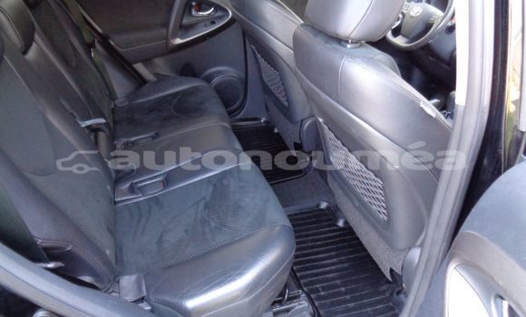 Acheter Occasion Voiture Toyota RAV4 Noir à Koumac, Nord Acheter Occasion Voiture Toyota RAV4 Noir à Koumac, Nord
